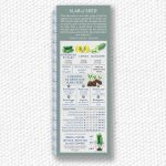 Exotic Cucumbers