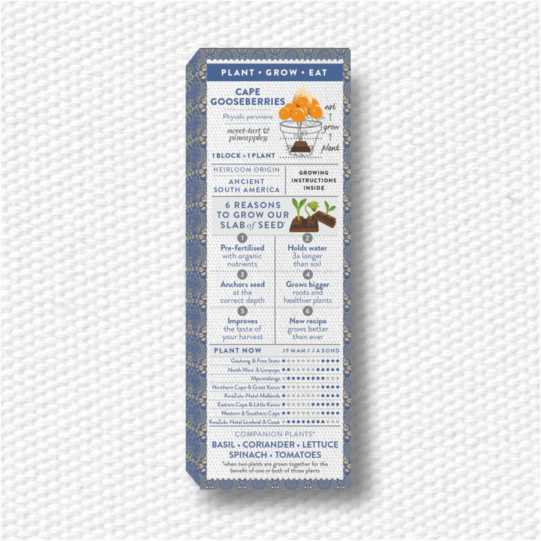 CAPE GOOSEBERRY BACK