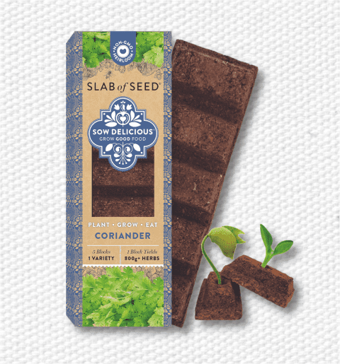 Pure Coriander