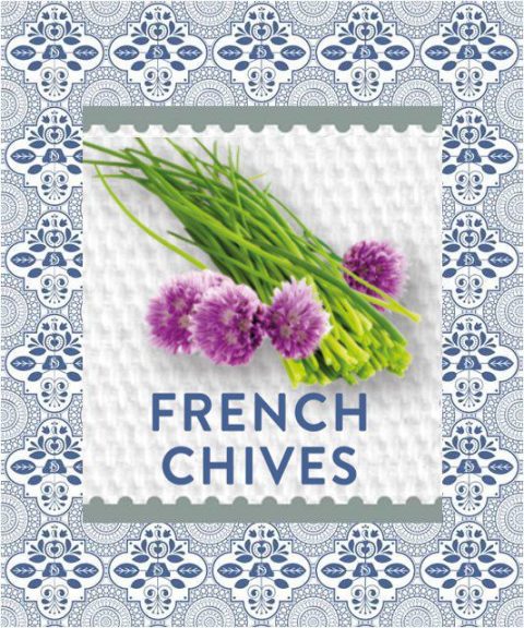 Pure French Chives – Sow Delicious