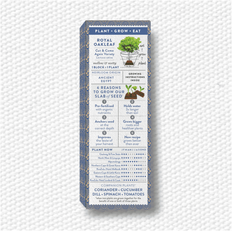 PURE LEAFY LETTUCE BACK