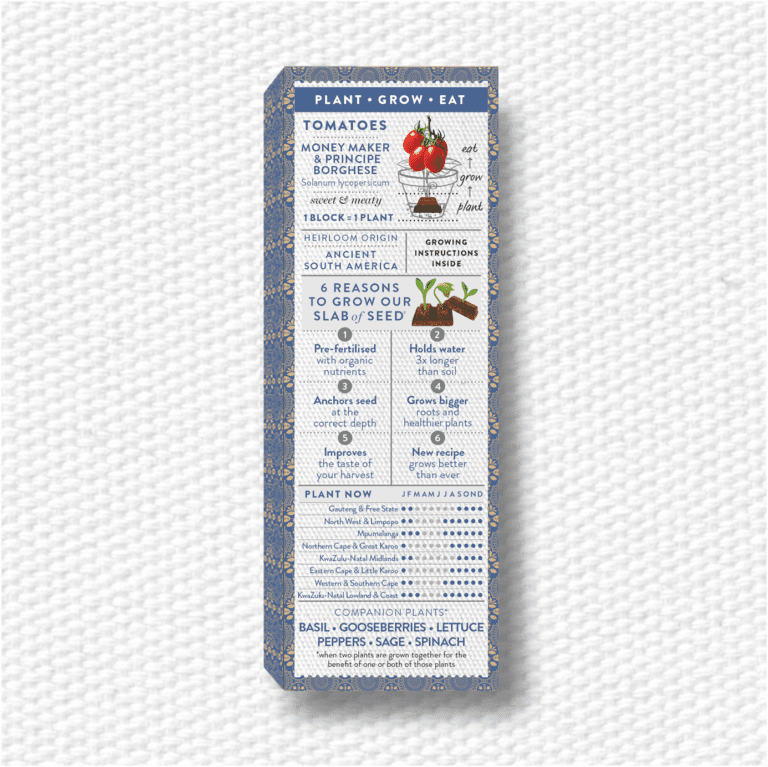 PURE VINE TOMATOES BACK