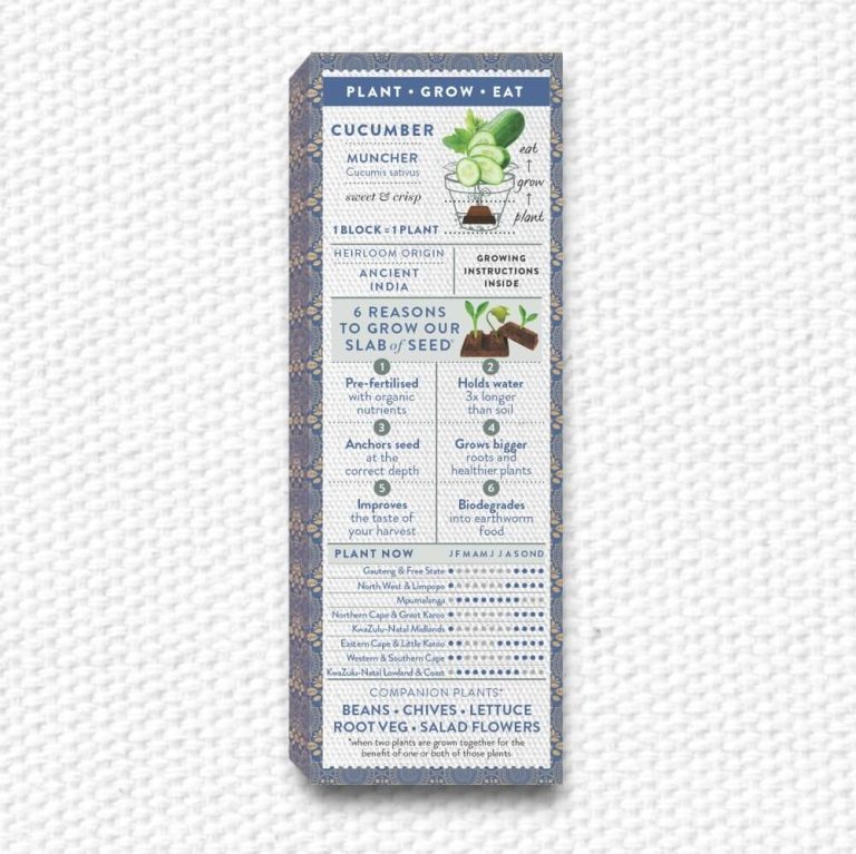 Pure Cucumber Back Linen