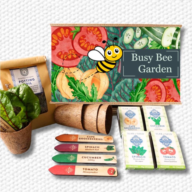 Start-a-Garden Busy Bee Gift Box