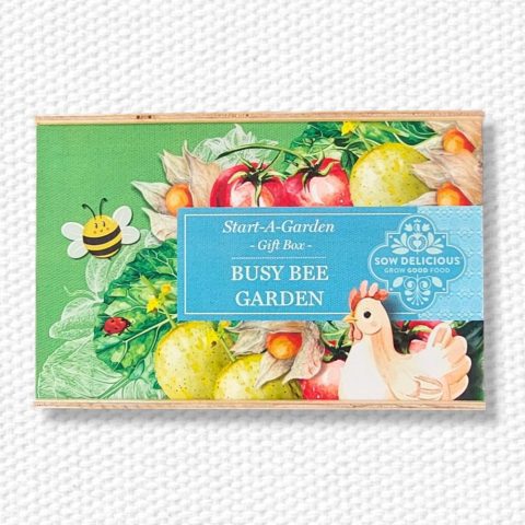 Start-a-Garden Busy Bee Gift Box