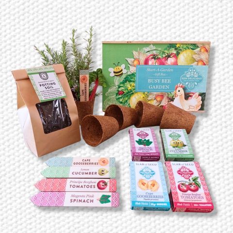 Start-a-Garden Busy Bee Gift Box