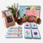 Start-a-Garden Summer Garden Gift Box