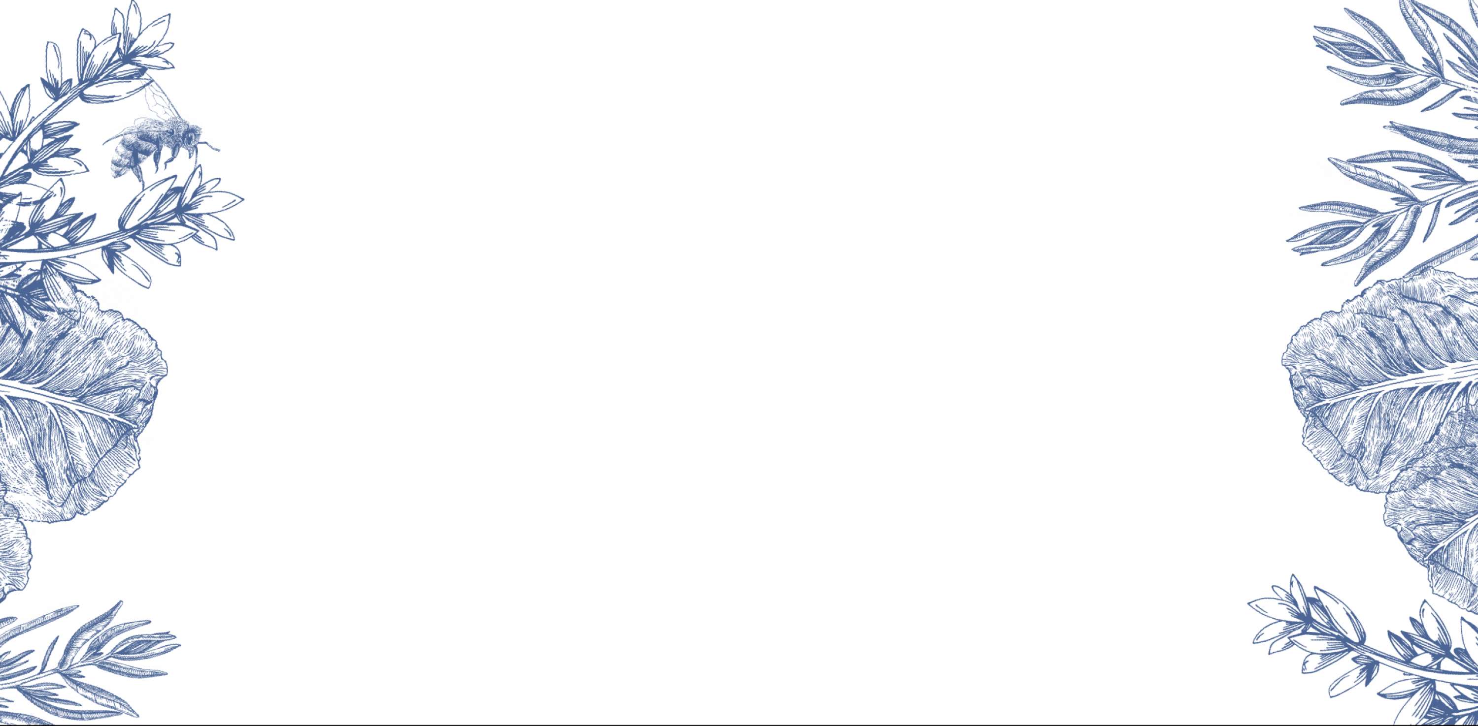 Sow Delicious - Home Page - Parallax Images -01